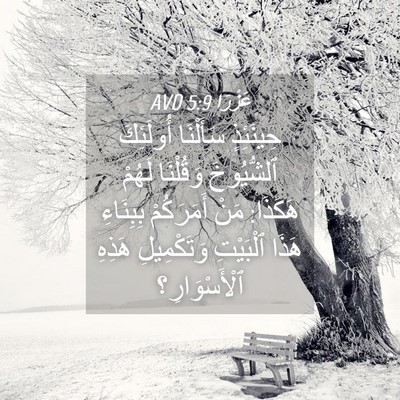 Picture 04 - عَزْرَا 5:9 AVD - حِينَئِذٍ سَأَلْنَا - Bible Verse Picture