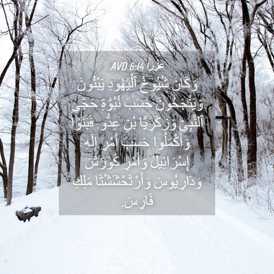 Picture 04 - عَزْرَا 6:14 AVD - وَكَانَ شُيُوخُ - Bible Verse Picture