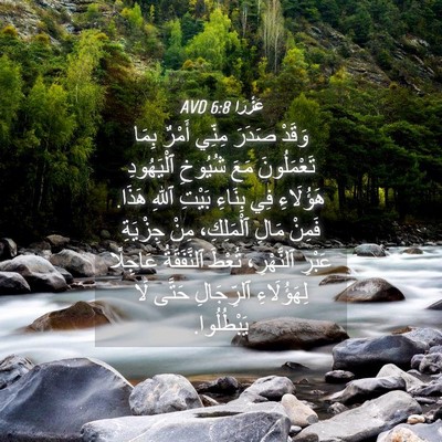 Picture 04 - عَزْرَا 6:8 AVD - وَقَدْ صَدَرَ مِنِّي - Bible Verse Picture