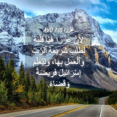 Picture 04 - عَزْرَا 7:10 AVD - لِأَنَّ عَزْرَا هَيَّأَ - Bible Verse Picture