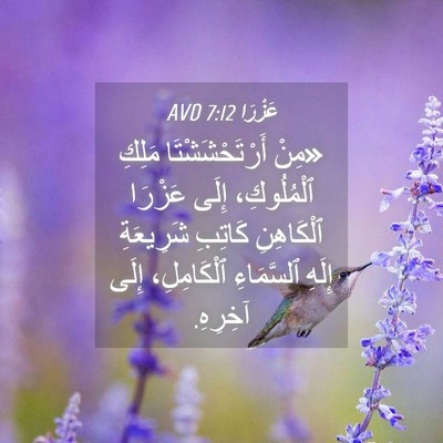 Picture 04 - عَزْرَا 7:12 AVD - «مِنْ أَرْتَحْشَشْتَا - Bible Verse Picture