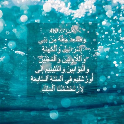 Picture 04 - عَزْرَا 7:7 AVD - وَصَعِدَ مَعَهُ مِنْ بَنِي - Bible Verse Picture