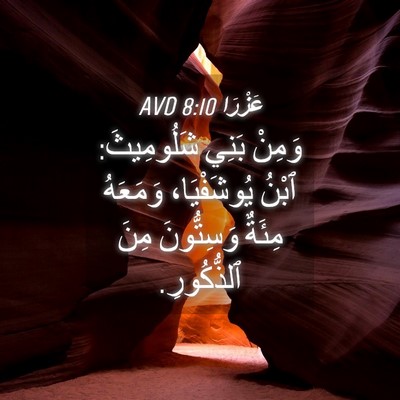 Picture 04 - عَزْرَا 8:10 AVD - وَمِنْ بَنِي شَلُومِيثَ: - Bible Verse Picture