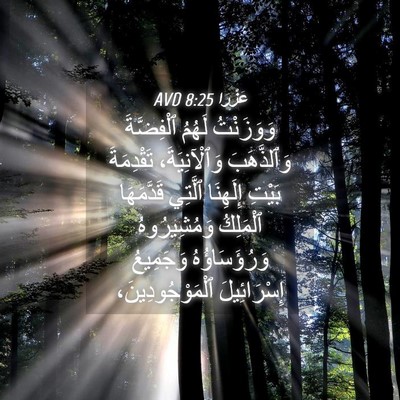 Picture 04 - عَزْرَا 8:25 AVD - وَوَزَنْتُ لَهُمُ - Bible Verse Picture