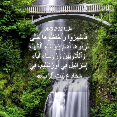 Picture 04 - عَزْرَا 8:29 AVD - فَٱسْهَرُوا وَٱحْفَظُوهَا - Bible Verse Picture