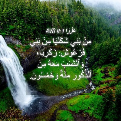 Picture 04 - عَزْرَا 8:3 AVD - مِنْ بَنِي شَكَنْيَا مِنْ - Bible Verse Picture