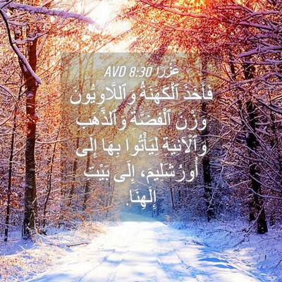 Picture 04 - عَزْرَا 8:30 AVD - فَأَخَذَ ٱلْكَهَنَةُ - Bible Verse Picture