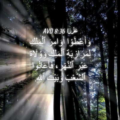 Picture 04 - عَزْرَا 8:36 AVD - وَأَعْطَوْا أَوَامِرَ - Bible Verse Picture