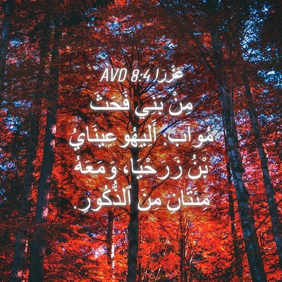 Picture 04 - عَزْرَا 8:4 AVD - مِنْ بَنِي فَحَثَ مُوآبَ: - Bible Verse Picture
