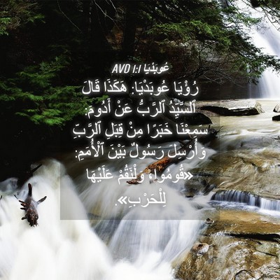 Picture 04 - عُوبَدْيَا 1:1 AVD - رُؤْيَا عُوبَدْيَا: - Bible Verse Picture