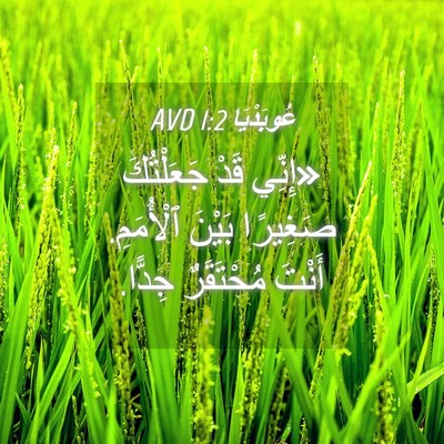 Picture 04 - عُوبَدْيَا 1:2 AVD - «إِنِّي قَدْ جَعَلْتُكَ - Bible Verse Picture