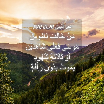 Picture 04 - عِبرانِيّين 10:28 AVD - مَنْ خَالَفَ نَامُوسَ - Bible Verse Picture