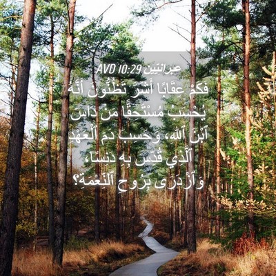 Picture 04 - عِبرانِيّين 10:29 AVD - فَكَمْ عِقَابًا أَشَرَّ - Bible Verse Picture