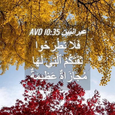 Picture 04 - عِبرانِيّين 10:35 AVD - فَلَا تَطْرَحُوا - Bible Verse Picture