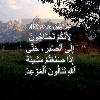 Picture 04 - عِبرانِيّين 10:36 AVD - لِأَنَّكُمْ تَحْتَاجُونَ - Bible Verse Picture