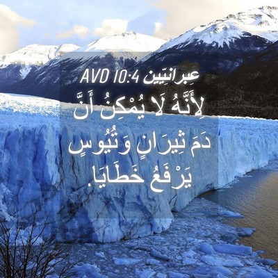 Picture 04 - عِبرانِيّين 10:4 AVD - لِأَنَّهُ لَا يُمْكِنُ - Bible Verse Picture