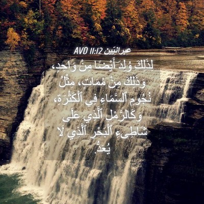 Picture 04 - عِبرانِيّين 11:12 AVD - لِذَلِكَ وُلِدَ أَيْضًا - Bible Verse Picture