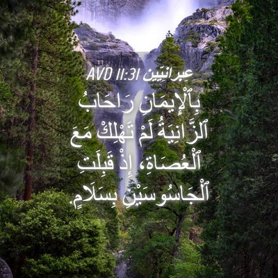 Picture 04 - عِبرانِيّين 11:31 AVD - بِٱلْإِيمَانِ رَاحَابُ - Bible Verse Picture