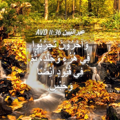 Picture 04 - عِبرانِيّين 11:36 AVD - وَآخَرُونَ تَجَرَّبُوا - Bible Verse Picture
