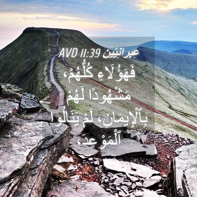 Picture 04 - عِبرانِيّين 11:39 AVD - فَهَؤُلَاءِ كُلُّهُمْ، - Bible Verse Picture