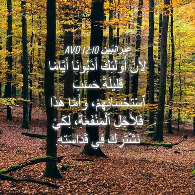 Picture 04 - عِبرانِيّين 12:10 AVD - لِأَنَّ أُولَئِكَ - Bible Verse Picture