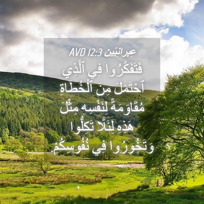 Picture 04 - عِبرانِيّين 12:3 AVD - فَتَفَكَّرُوا فِي ٱلَّذِي - Bible Verse Picture