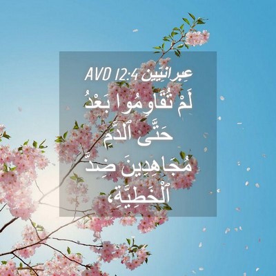 Picture 04 - عِبرانِيّين 12:4 AVD - لَمْ تُقَاوِمُوا بَعْدُ - Bible Verse Picture