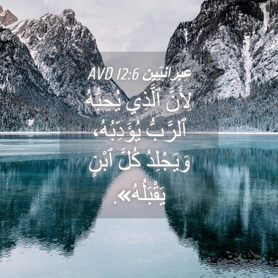 Picture 04 - عِبرانِيّين 12:6 AVD - لِأَنَّ ٱلَّذِي يُحِبُّهُ - Bible Verse Picture