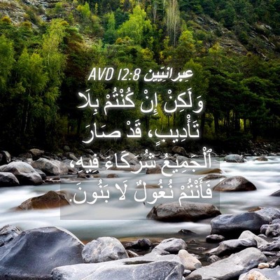 Picture 04 - عِبرانِيّين 12:8 AVD - وَلَكِنْ إِنْ كُنْتُمْ - Bible Verse Picture