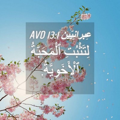 Picture 04 - عِبرانِيّين 13:1 AVD - لِتَثْبُتِ ٱلْمَحَبَّةُ - Bible Verse Picture