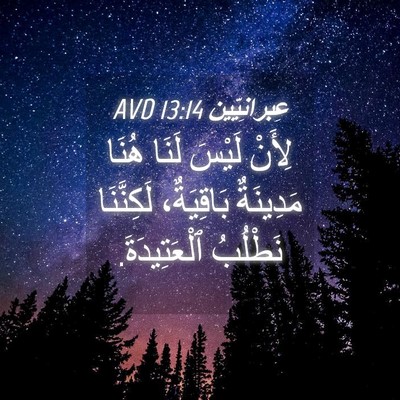 Picture 04 - عِبرانِيّين 13:14 AVD - لِأَنْ لَيْسَ لَنَا هُنَا - Bible Verse Picture