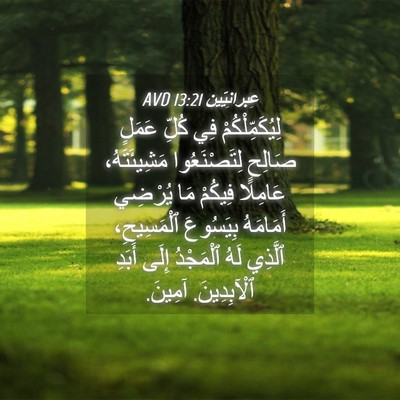 Picture 04 - عِبرانِيّين 13:21 AVD - لِيُكَمِّلْكُمْ فِي كُلِّ - Bible Verse Picture