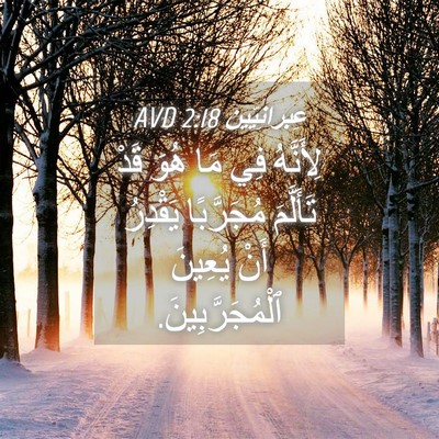 Picture 04 - عِبرانِيّين 2:18 AVD - لِأَنَّهُ فِي مَا هُوَ - Bible Verse Picture