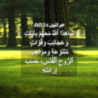 Picture 04 - عِبرانِيّين 2:4 AVD - شَاهِدًا ٱللهُ مَعَهُمْ - Bible Verse Picture