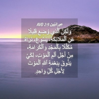 Picture 04 - عِبرانِيّين 2:9 AVD - وَلَكِنَّ ٱلَّذِي وُضِعَ - Bible Verse Picture