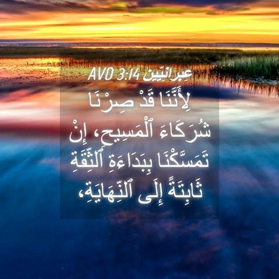 Picture 04 - عِبرانِيّين 3:14 AVD - لِأَنَّنَا قَدْ صِرْنَا - Bible Verse Picture