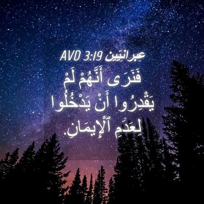 Picture 04 - عِبرانِيّين 3:19 AVD - فَنَرَى أَنَّهُمْ لَمْ - Bible Verse Picture
