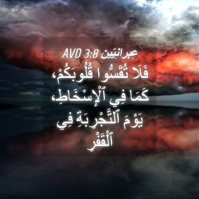 Picture 04 - عِبرانِيّين 3:8 AVD - فَلَا تُقَسُّوا - Bible Verse Picture