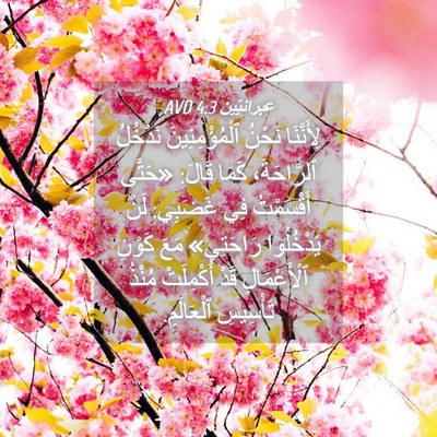 Picture 04 - عِبرانِيّين 4:3 AVD - لِأَنَّنَا نَحْنُ - Bible Verse Picture
