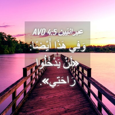 Picture 04 - عِبرانِيّين 4:5 AVD - وَفِي هَذَا أَيْضًا: «لَنْ - Bible Verse Picture