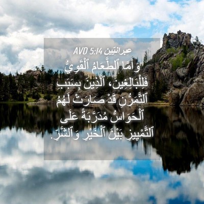 Picture 04 - عِبرانِيّين 5:14 AVD - وَأَمَّا ٱلطَّعَامُ - Bible Verse Picture
