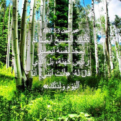 Picture 04 - عِبرانِيّين 5:5 AVD - كَذَلِكَ ٱلْمَسِيحُ - Bible Verse Picture