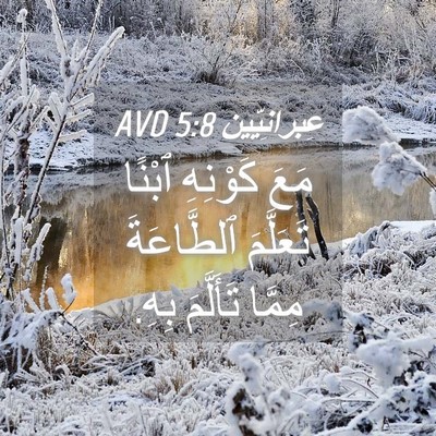 Picture 04 - عِبرانِيّين 5:8 AVD - مَعَ كَوْنِهِ ٱبْنًا - Bible Verse Picture