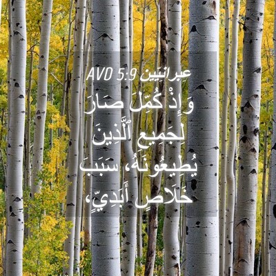 Picture 04 - عِبرانِيّين 5:9 AVD - وَإِذْ كُمِّلَ صَارَ - Bible Verse Picture