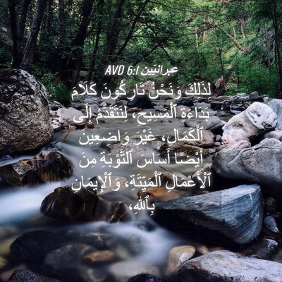 Picture 04 - عِبرانِيّين 6:1 AVD - لِذَلِكَ وَنَحْنُ - Bible Verse Picture
