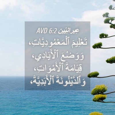 Picture 04 - عِبرانِيّين 6:2 AVD - تَعْلِيمَ - Bible Verse Picture