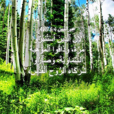Picture 04 - عِبرانِيّين 6:4 AVD - لِأَنَّ ٱلَّذِينَ - Bible Verse Picture
