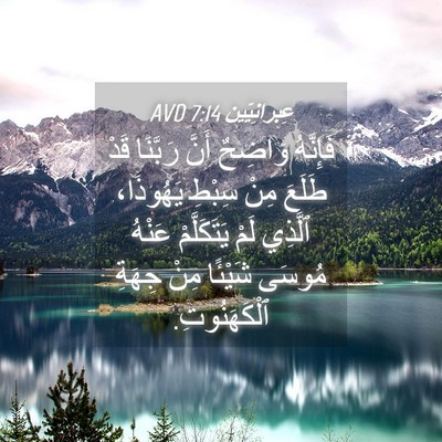 Picture 04 - عِبرانِيّين 7:14 AVD - فَإِنَّهُ وَاضِحٌ أَنَّ - Bible Verse Picture