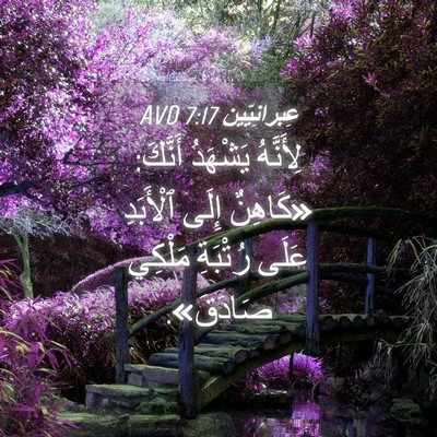 Picture 04 - عِبرانِيّين 7:17 AVD - لِأَنَّهُ يَشْهَدُ - Bible Verse Picture