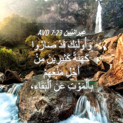 Picture 04 - عِبرانِيّين 7:23 AVD - وَأُولَئِكَ قَدْ صَارُوا - Bible Verse Picture